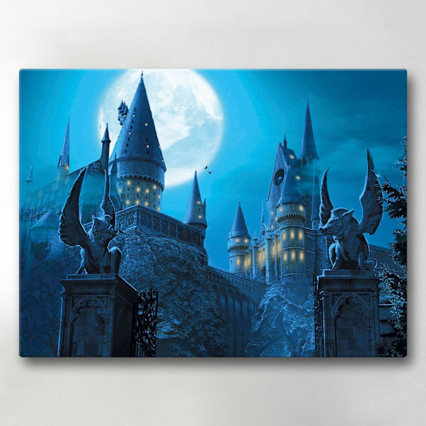 Lærredsbillede / Lærredstryk - Harry Potter - 40x30 cm - Lærred