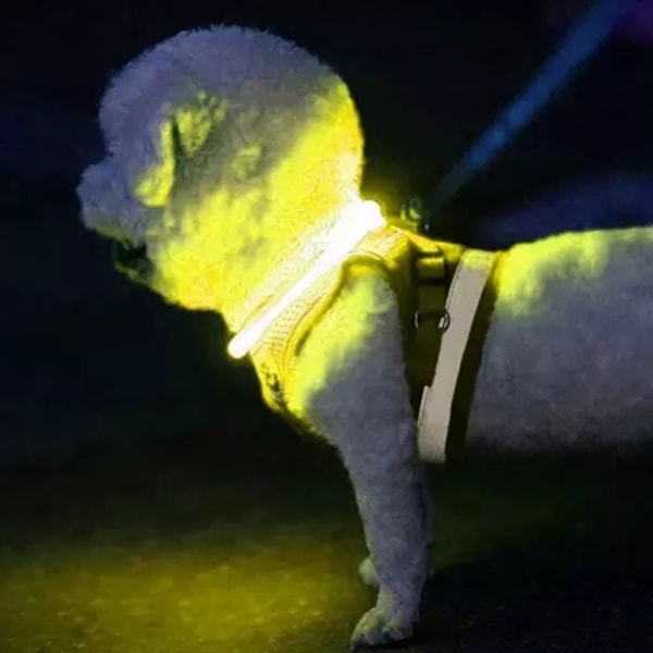 LED-panta / koiranpanta - Säädettävä
