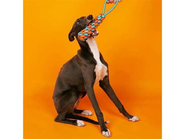 Dragleksak / Kampleksak för Hund - Hundleksak