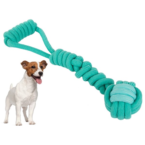 Dragleksak / Kampleksak för Hund - Hundleksak