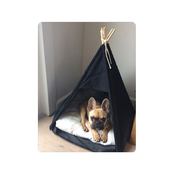 Tipi Tält för Hund & Katt