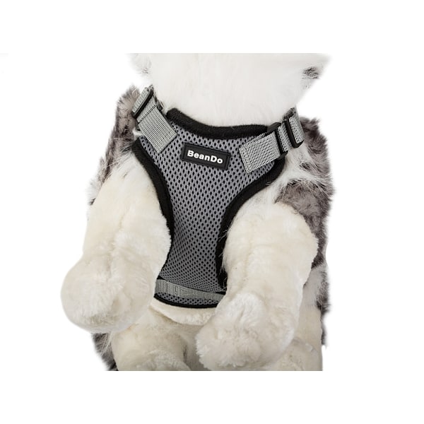 Hundsele / Sele för Hund - Tryckfri MultiColor L