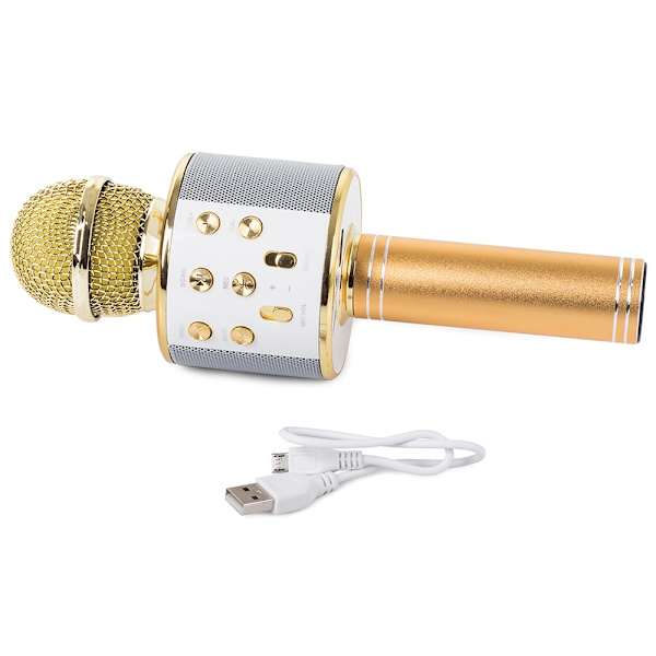 Karaokemikrofon med Högtalare / Karaoke Mikrofon - Bluetooth Guld