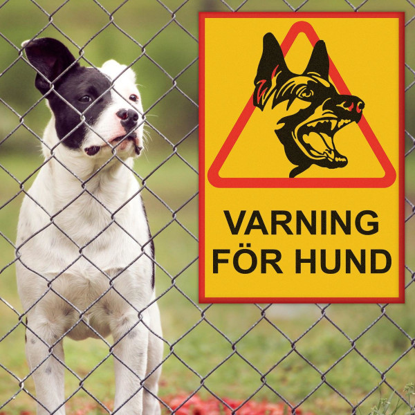 VARNING FÖR HUND Skylt - Hundskylt / Varningsskylt / A4 multifärg