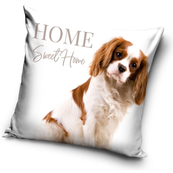Hund kuddfodral 40×40 cm