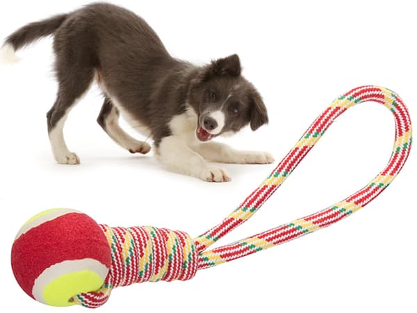 Dragleksak med boll / Kampleksak för Hund - Hundleksak