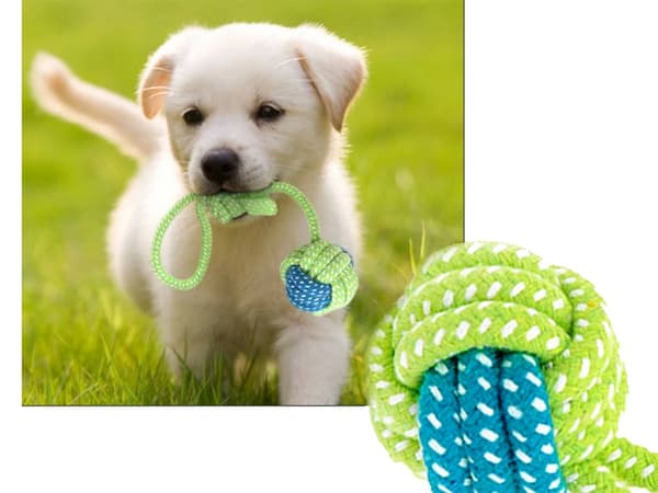 Dragleksak / Kampleksak för Hund - Hundleksak