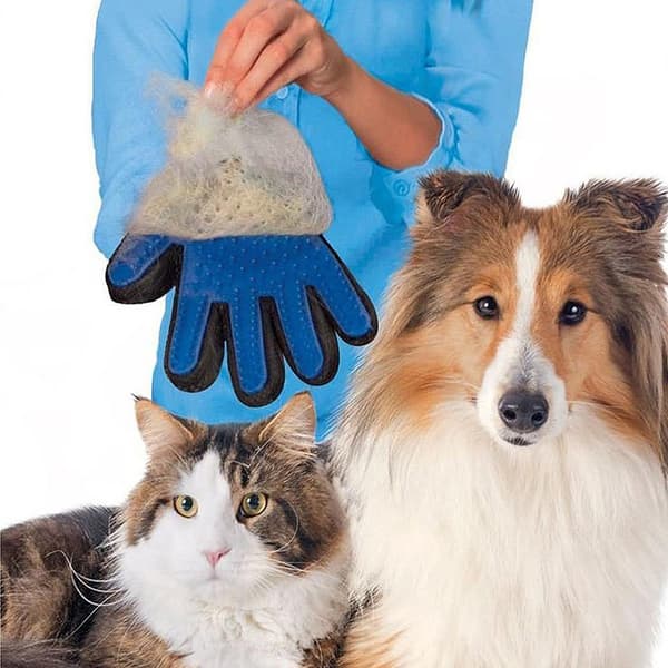 Hundborste - Borste för Päls - Hund & Katt Borsthandske Höger Blå