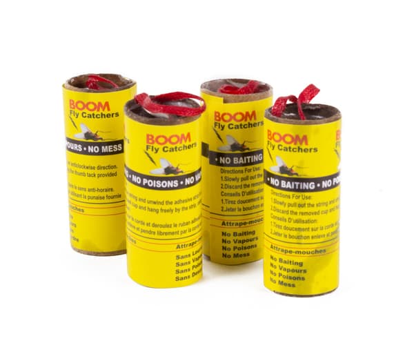 Flugfångare 4-pack
