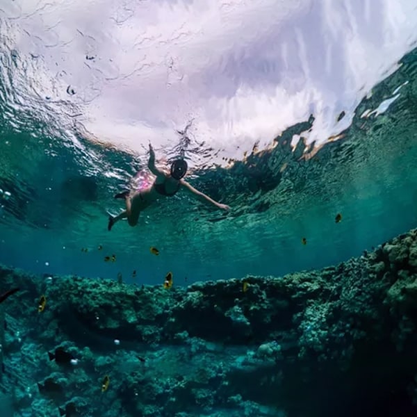 Snorkelmask Heltäckande - Snorkling - L/XL Svart