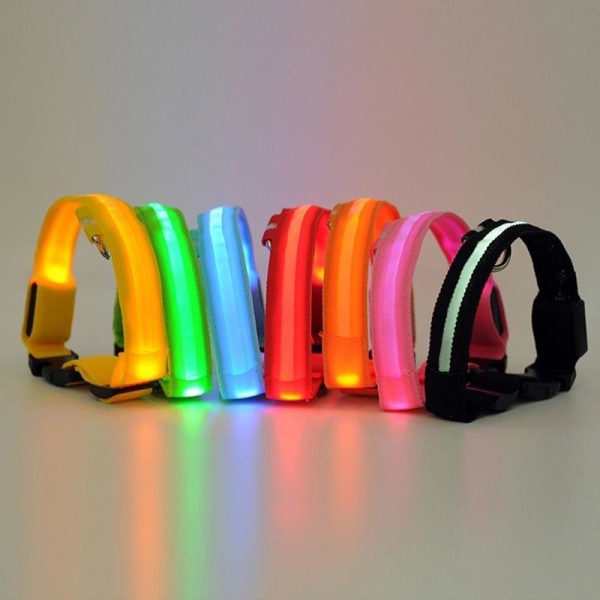 LED Hundhalsband Uppladdningsbar / Reflex & Halsband för Hund Orange L - Orange