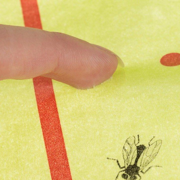 10m Flugfångare / Flugfälla / Myggfångare - Klister Tejp multifärg