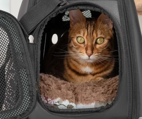 Transporttaske til Kæledyr / Taske til Katte & Hunde Grey