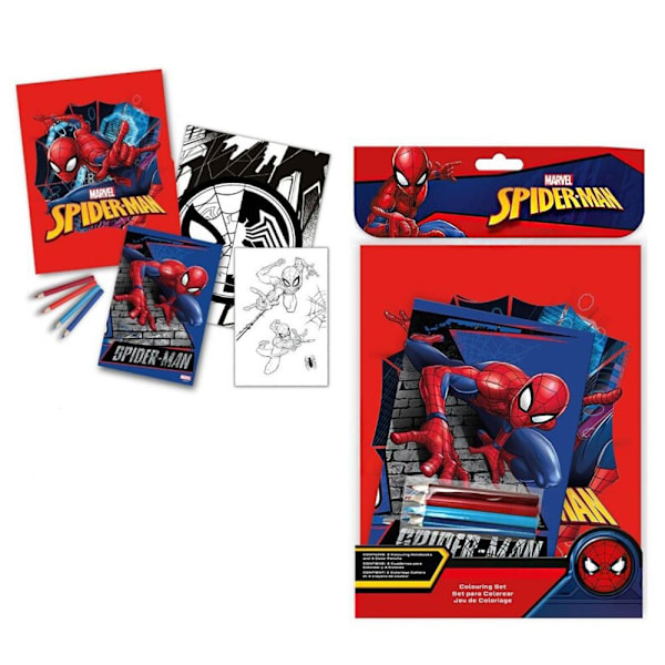 Spiderman väggmålning set