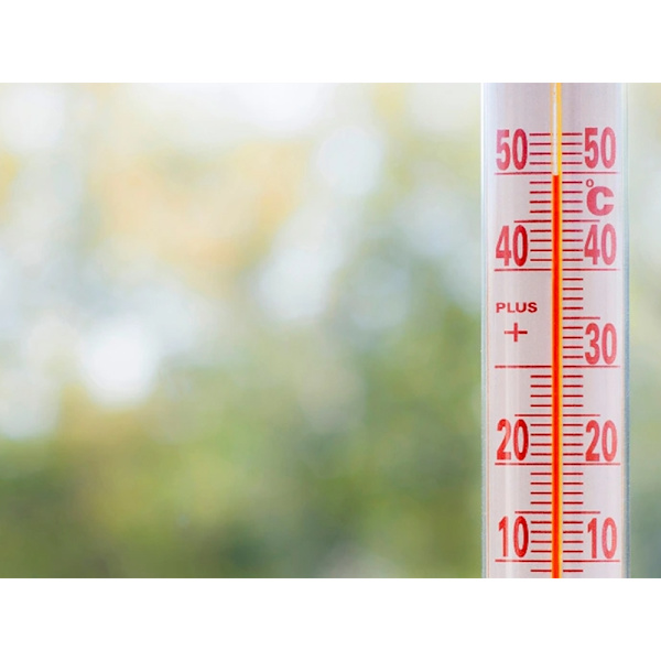 Termometer Självhäftande