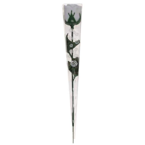 Rose med LED-lys – Fargeskiftende Multicolor