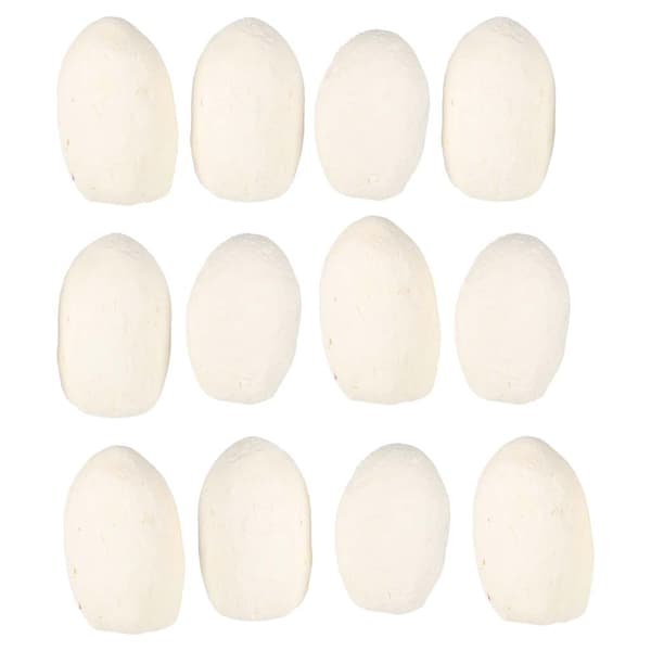 Dinosaurieset 12 ägg