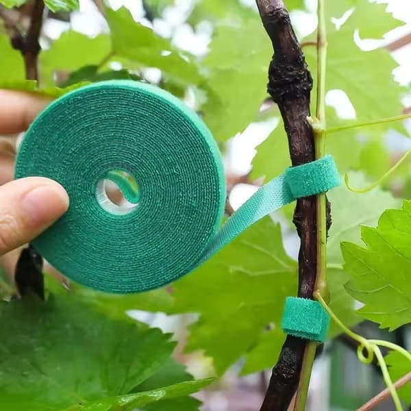 Plantebånd 5m – Velcrobånd til Planteunderstøttelse 2-Pack