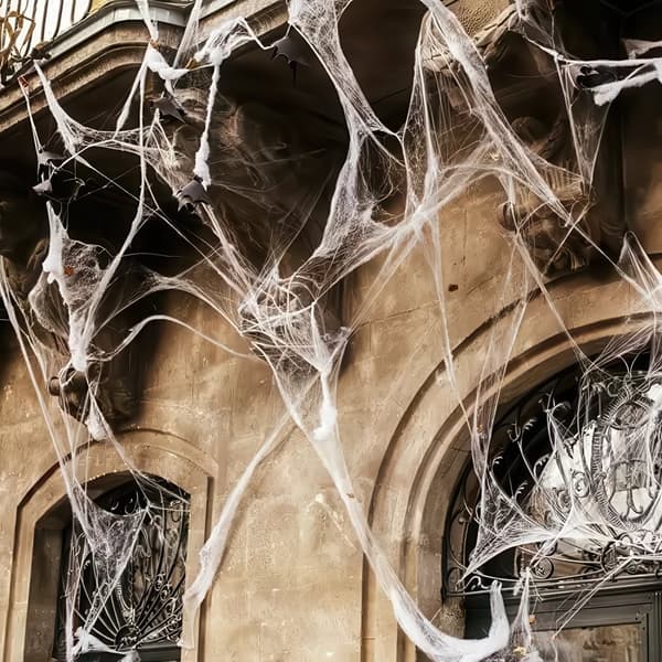 Edderkoppespind / Halloween Dekoration med Edderkopper – 1-Sæt