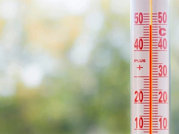 Självhäftande Termometer - Celsius