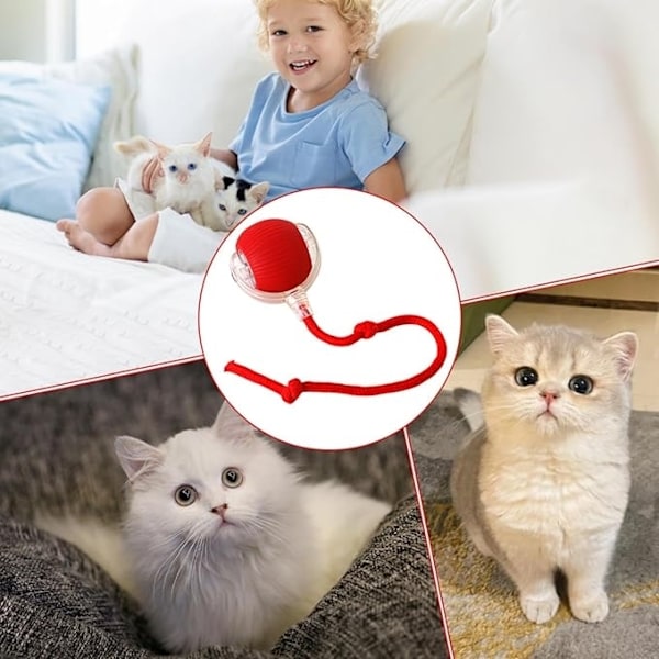 Interaktiv Kattleksak / Leksak till Katt - Boll som rör sig