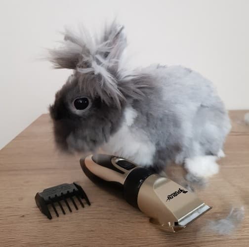 Hundetrimmer / Hundeklipper - Trimmer for hund