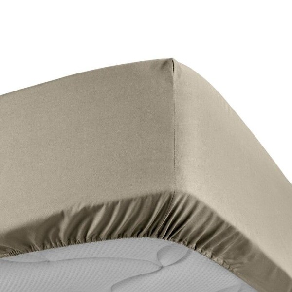 Drap housse - Percale - 180x200 cm - 100% bomull - Bonn 30 cm - Oeko-Tex Beige