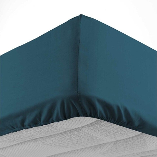 Drap housse 180x200 cm - DOUCEUR D'INTERIEUR - 100% bomull - Blå Blå