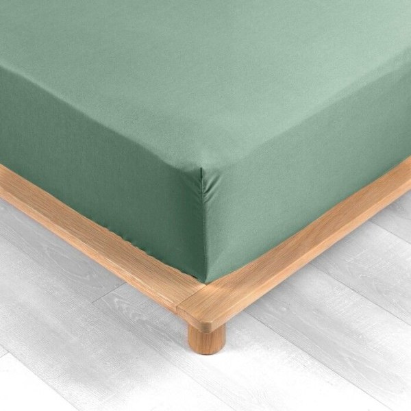 Drap housse 90x190 cm - Percale 100% bomull - DOUCEUR D'INTERIEUR - Lind - Huvud 30 cm Lind
