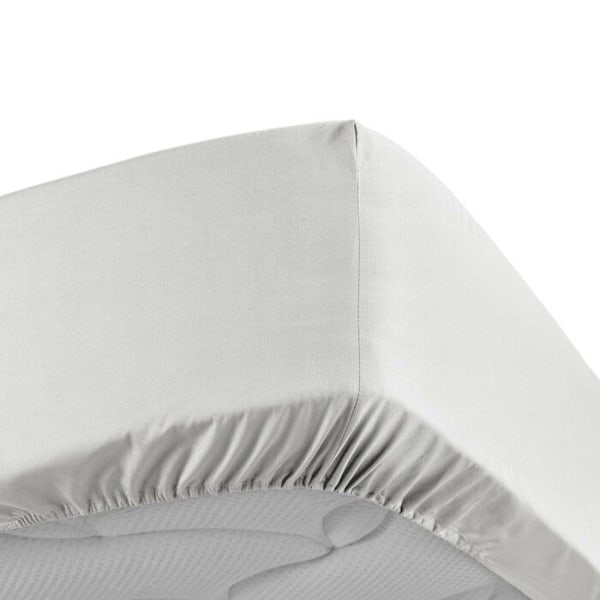 Drap housse 160x200 cm - Percale 100% bomuld - Hætte 30 cm - Hvid - DOUCEUR D'INTERIEUR Vit