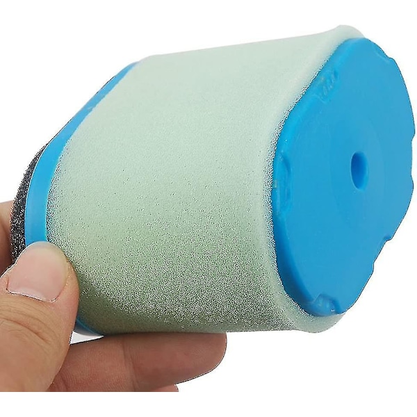 Ilmansuodatin ja esisuodatin Briggs & Stratton 498596 498596s 690610 697029 5059h - (YJD)