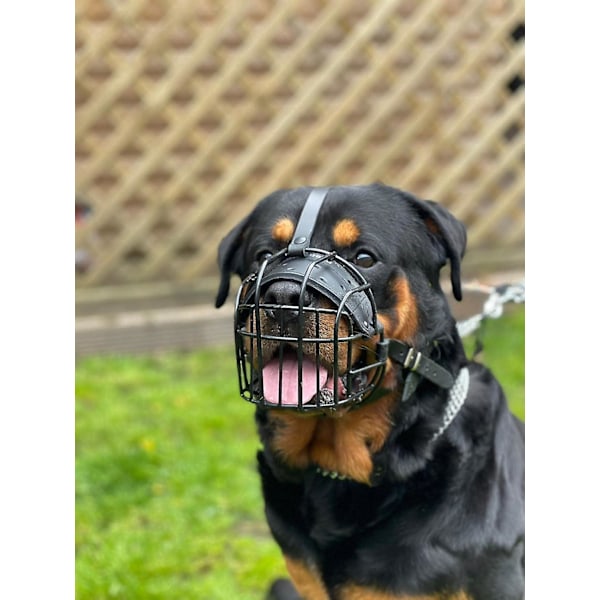 STARK Trådkurv Metal Hundekurv Rottweiler, Mastiff Golden Retriever & andre (R1, Sort/Sort Læder)