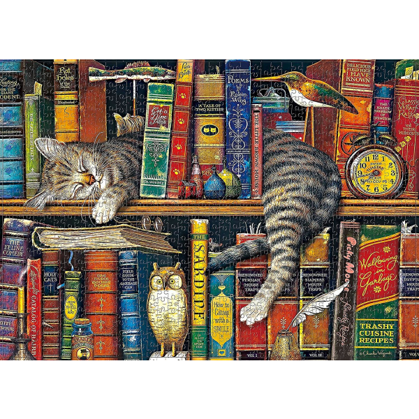 PIAO 1000 bitar pussel för vuxna Klassiska pussel, skicklighetsspel för hela familjen, bokhylla katt