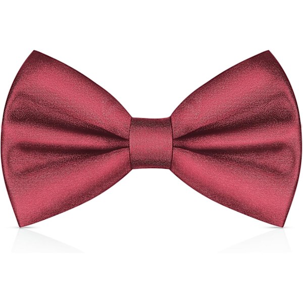 Herrslipsar, Klassisk Enfärgad Slips för Män, Satinslips, Justerbar Formell Slips för Fest, Bröllop maroon red