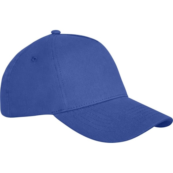 Elevate Unisex Vuxen Doyle 5-Panel Keps Storlek One Blå Blu Blue One Size