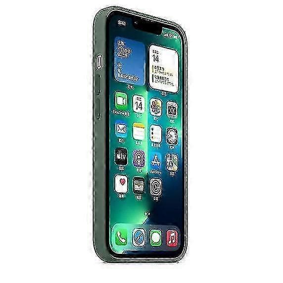 Silikondeksel med MagSafe for iPhone 13 Pro Eucalyptus
