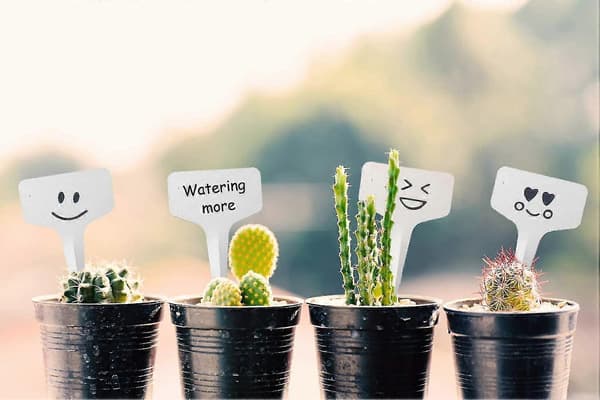 Vandtætte Havemærker Plastik
