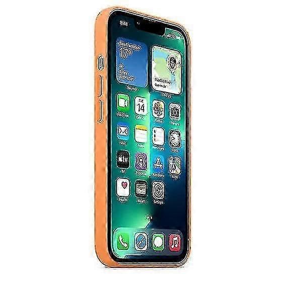Silikondeksel med MagSafe for iPhone 13 Pro Marigold