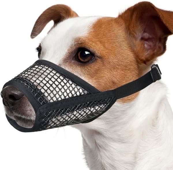 Hundemunding - BEIJIYI - S - Blødt net - Sort