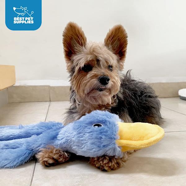 Bästa husdjurstillbehör Crinkle Dog Toy för små, medelstora och stora raser Söta icke-fyllda anka med mjuk squeaker- Gul