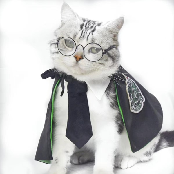 Harry Potter Taikaviitta Koiran Kouluviitta Pienelle Koiralle Lemmikkikapea Kapea + Lasit + Solmio green M