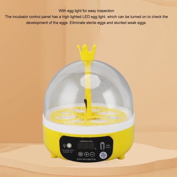 Miniinkubator - ABIL - 4 ägg - Automatisk vändning - Transparent lock