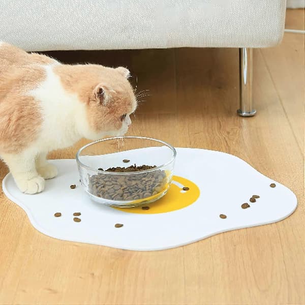 Hundematte, pute og madrass katt