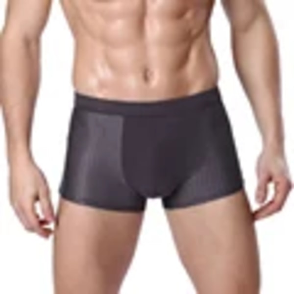 Bamboowear Bamboo Boxer Korta Män Microfiber Boxer Briefs Underkläder Kompression Stretche Gy 3XL