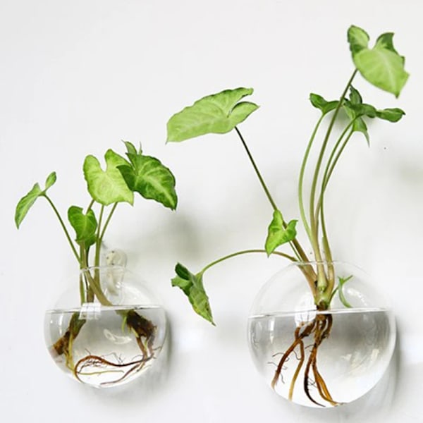 Transparent Væghængt Vase Halvcirkelformet Hydroponisk Vase Fiskekumme Potteplante Blomst Pot Vægdekoration Kontor 13.5CM