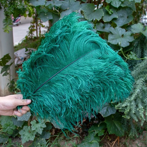 10 stk./sæt Naturlige Hvide Strudsefjer til Håndværk 15-45CM Bryllup Fest Dekoration Bord Midtpunkter Karneval Plumas Deco Dark Green 25-30cm