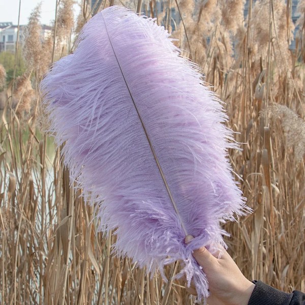 10Pcs/Lot Natural White Ostrich Feathers for Crafts 15-45CM Wedding Party Decoration Table Centerpieces Carnival Plumas Deco Light Purple 15-20 CM