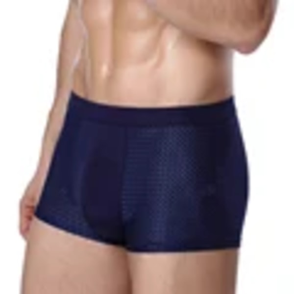 Bamboowear Bamboo Boxer Korta Män Microfiber Boxer Briefs Underkläder Kompression Stretche DBu XXL