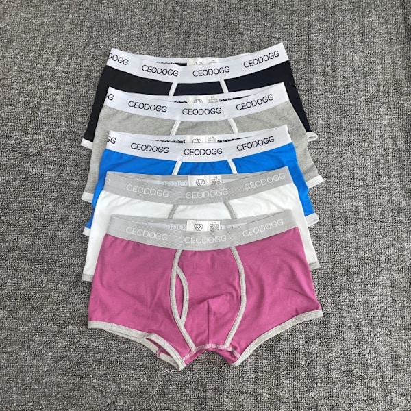 5 kpl/erä Hot Sale Ceodogg 365 Miesten miesten alusvaatteet Herra Boxer alusvaatteet Boxer Trunks Boxer Boxer Sho Sho Box Alusvaatteet Seksikkäät alusvaatteet Miehet B L