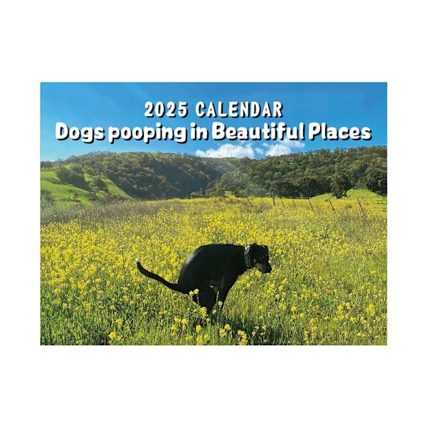 2025 Ny Väggkalender Roliga Hundar Bajsar Katt Hängande Kalender Månadsplanerare Skrivbords Kalender Hem Kontor Dekoration Julgåvor Dogs Pooping